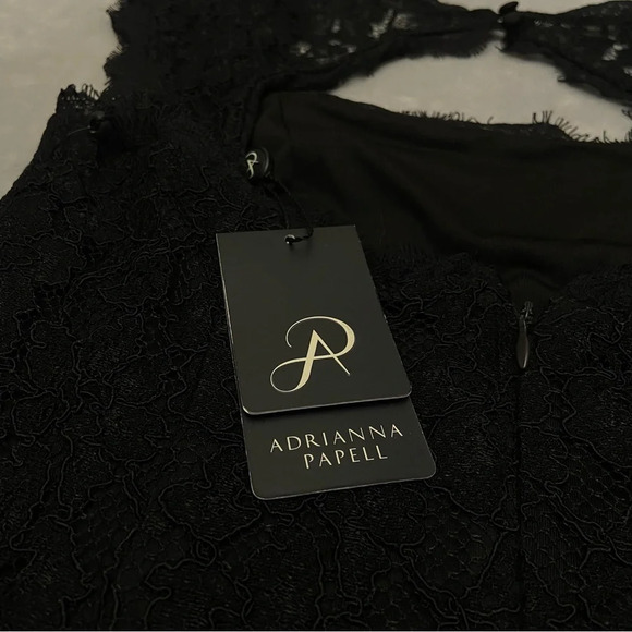 Adrianna Papell Black Lace Mini Dress - Picture 8 of 13